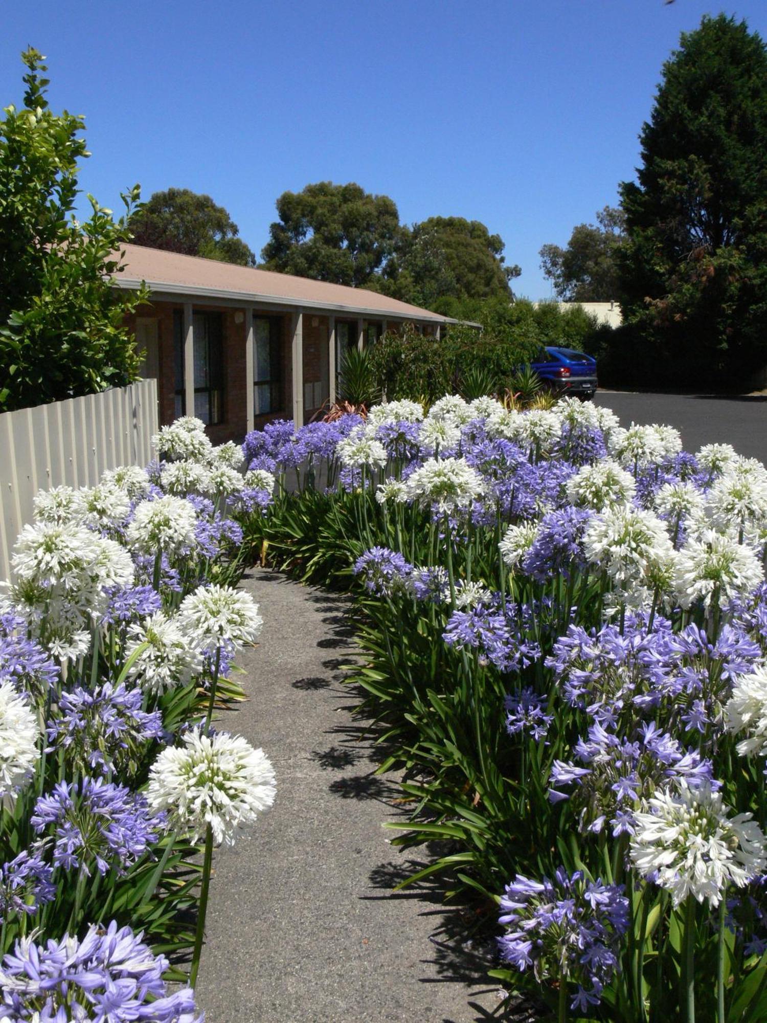 Begonia City Motor Inn Ballarat Zewnętrze zdjęcie